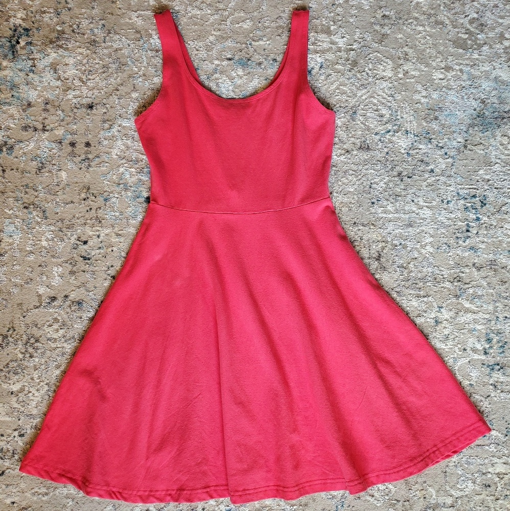 Express Pink Fit and Flair Dress